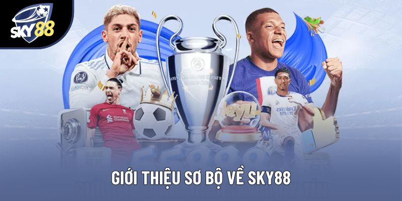 Giới thiệu sơ bộ về sky88